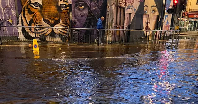 Business owner pleads for help as town devastated by floods