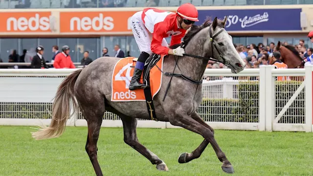 Major plunge on $201 surprise after barrier luck and key lead-up win: Melb Cup market moves