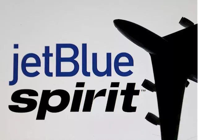 JetBlue CEO at trial calls Spirit merger key to taking on larger airlines