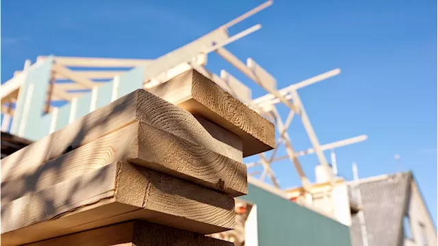 Group established to increase use of timber in construction amid industry concern