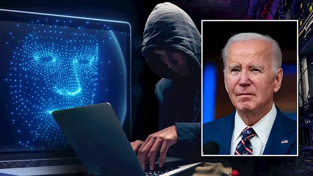 President Biden's AI executive order has 'dangerous limitations,' says deepfake detection company CEO