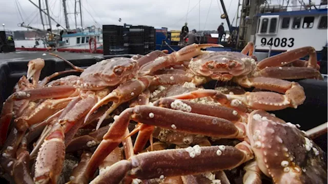 Crabby business: N.L. fisheries worker charged with accepting 'pans of crab' as bribe