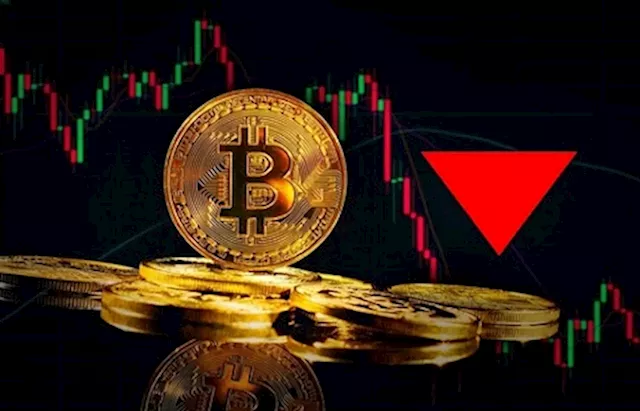 Crypto Market Continues Rally as Bitcoin Hits Highest Price Since May 2022