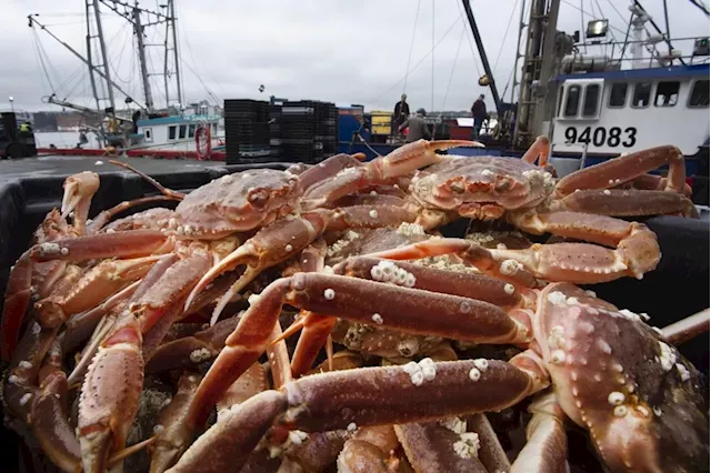 Crabby business: N.L. fisheries worker charged with accepting 'pans of crab' as bribe