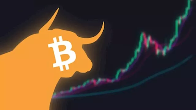 Cryptocurrency Market Sees Bullish November as ETF Speculation Grows