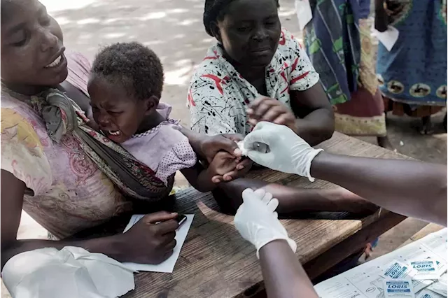 Deadly cholera outbreak in Malawi partly blamed on climate change | Business