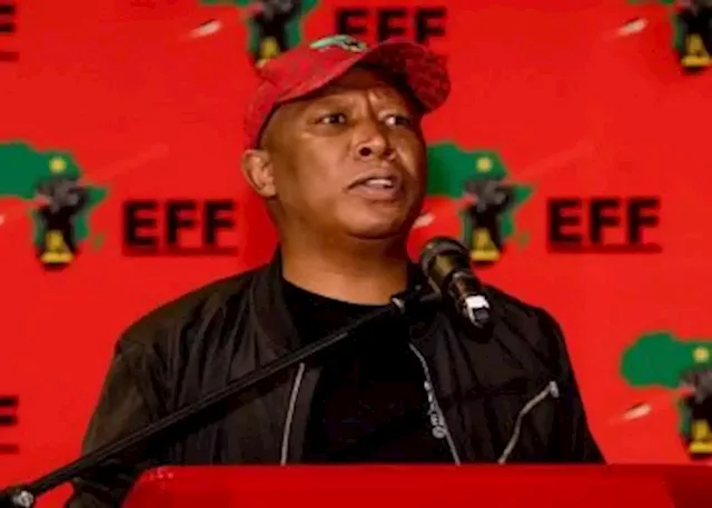 Gordhan should have been removed instead of new ministry: Malema - SABC News - Breaking news, special reports, world, business, sport coverage of all South African current events. Africa's news leader.