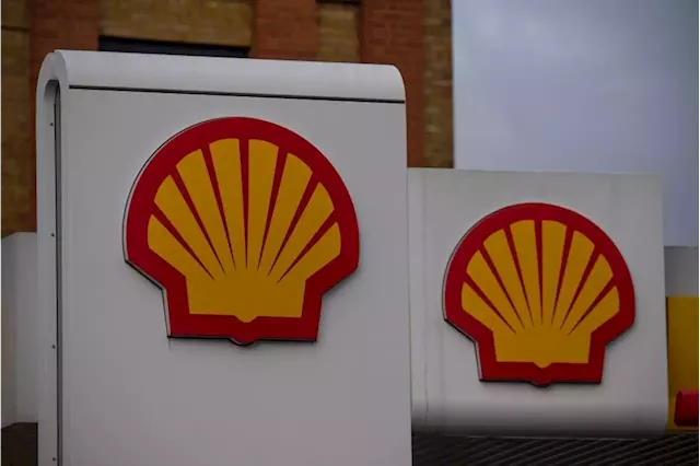 Shareholder sues Shell bosses over climate risks | Business