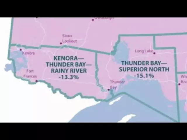 VIDEO: Federal Electoral Boundaries Commission backs off proposed riding merger