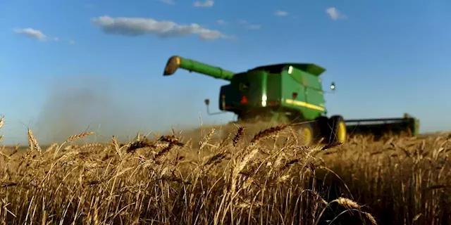 High Food Prices, Chinese Demand Boost Prospects of U.S. Agriculture Companies