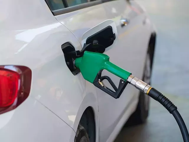 How SA's fuel reward programmes compare - with some clear winners, depending on your needs | Business Insider