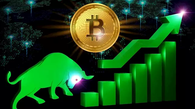 Pantera Capital on Bitcoin: We're in Next Bull Market Cycle – Markets and Prices Bitcoin News