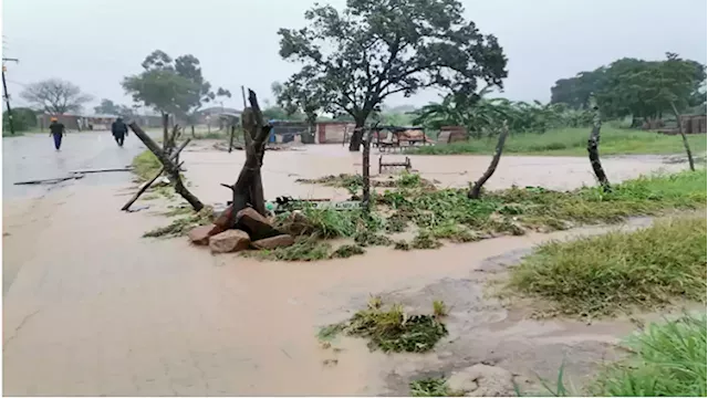 Heavy rains leave a trail of destruction in Nkomazi, mop-up operation underway - SABC News - Breaking news, special reports, world, business, sport coverage of all South African current events. Africa's news leader.