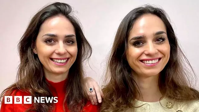 'Meetings are efficient' - When identical twins do business