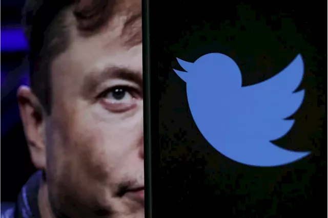 Twitter users say their feeds are being flooded with Elon Musk's tweets | Business Insider