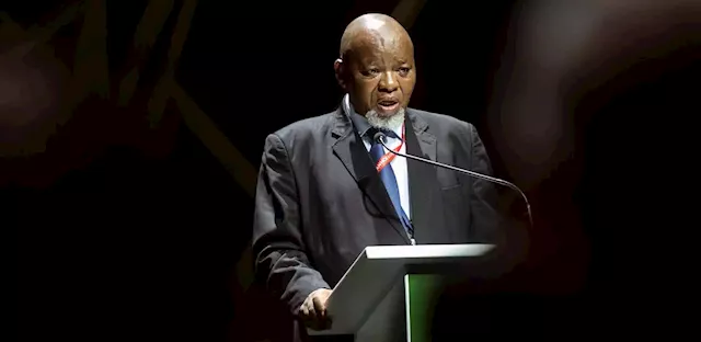 Mantashe: Electricity minister's job is to improve problematic power stations | Business