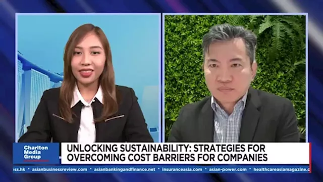 Unlocking sustainability: strategies for overcoming cost barriers for companies