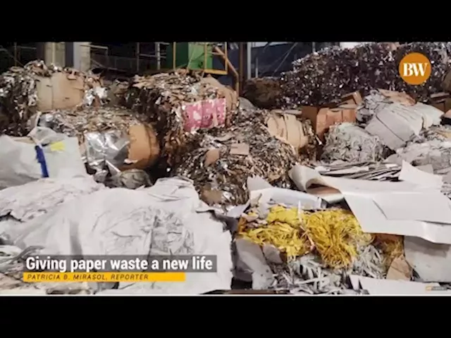 Recycling Business Waste