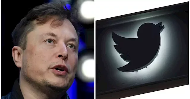 Musk to appoint new Twitter CEO by end of 2023 after company finances stabilize