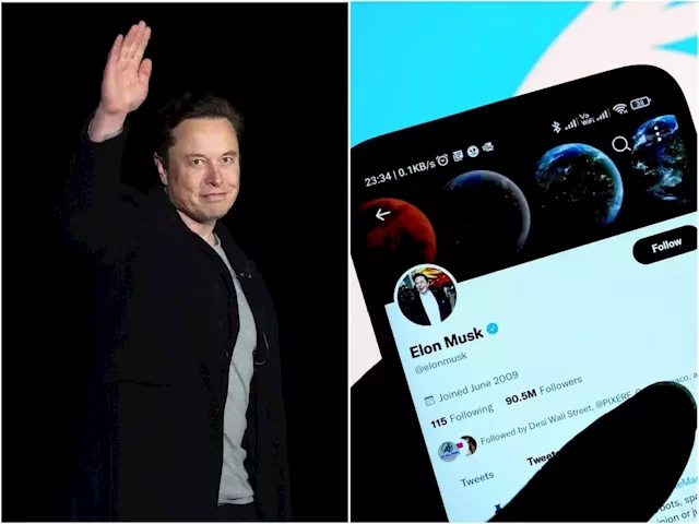 Elon Musk says CEOs and politicians should be more authentic on social media, just like him | Business Insider