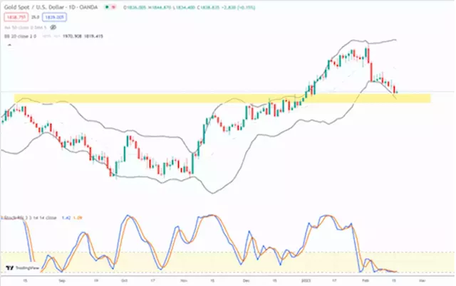 Greed creeps into stocks while metals sentiment swoons