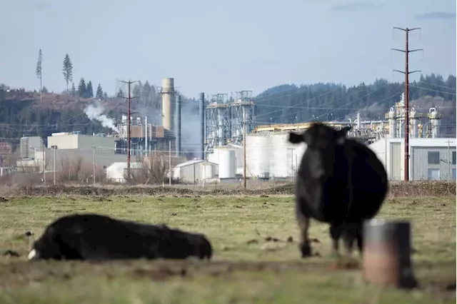 Why a Houston company sees Oregon as its key in the race to replace fossil fuels