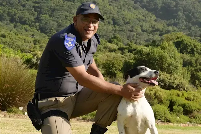 Cape Town's first copper sniffer dog is helping to clamp down on rampant theft | Business