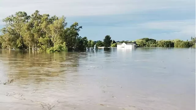 More than 500 people left destitute in Orange Farm after floods - SABC News - Breaking news, special reports, world, business, sport coverage of all South African current events. Africa's news leader.