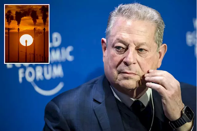 Al Gore’s ‘eco-friendly’ investment firm owns shares in polluting companies: report