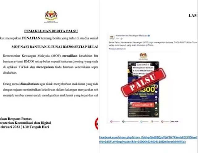 QuickCheck: Is the Finance Ministry offering RM300 in monthly aid?