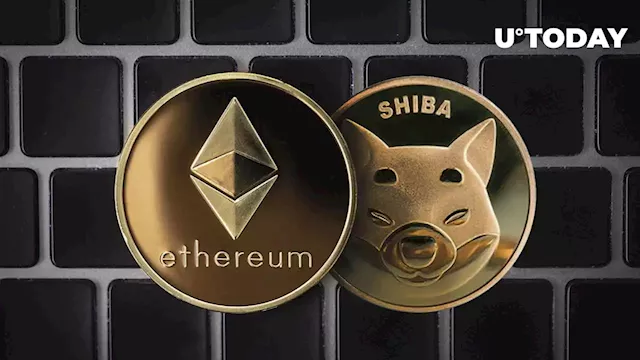 Bankrupt Crypto Broker Shocks Market, Shifts 2,500 ETH and 250 Billion Shiba Inu (SHIB)