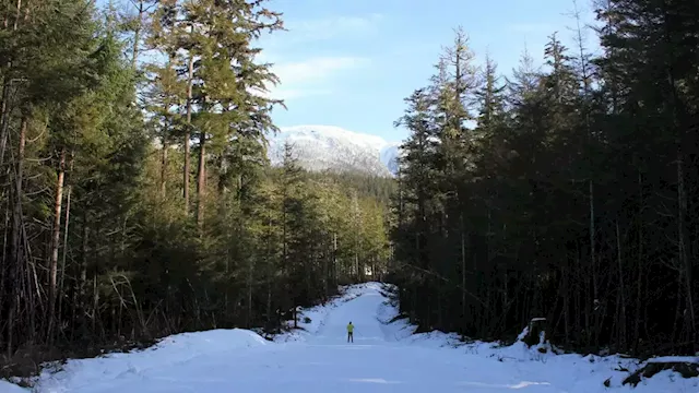 Juneau tour company hopes to offer e-bike tours on Douglas Pioneer Road