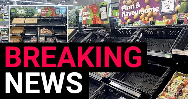 Asda introduces limits on fruit and veg after supermarkets run low on stocks