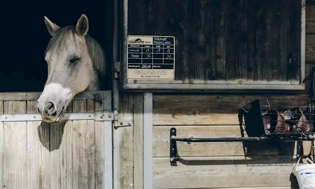 Stablecoins at their lowest market cap since 2021: Report