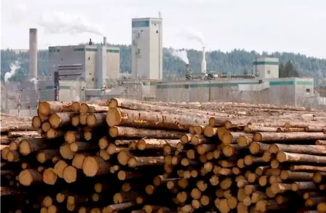 More mill closures inevitable as B.C. forest industry crisis deepens