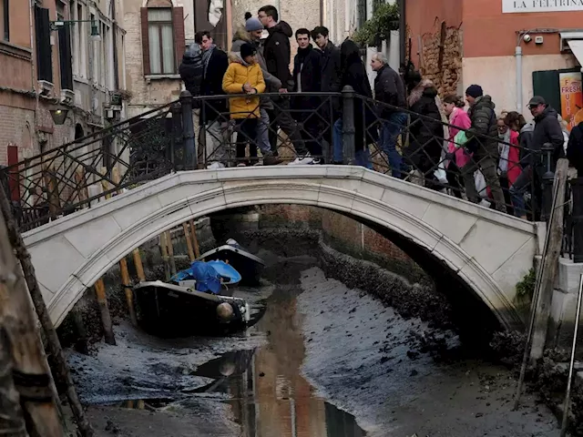 TAKE A LOOK | Grounded gondolas and miserable tourists in Venice as canals run dry | Business Insider