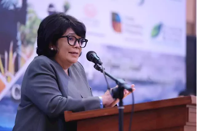 Include sustainability in business practices, DENR urges industries