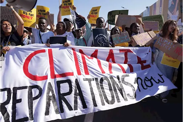 Wealthy nations' failure to honour climate finance pledge a 'travesty' - UN official | Business