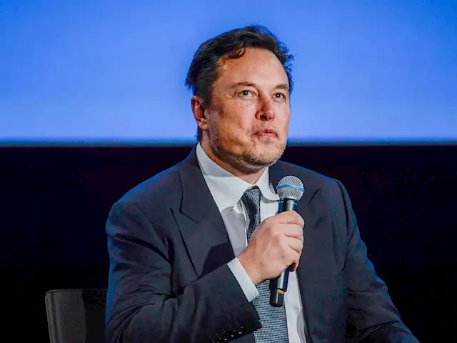 Elon Musk sides with Dilbert cartoonist after newspapers dropped him for making a racist rant | Business Insider