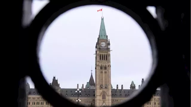 The Week Ahead: GDP release; Canadian bank earnings continue - BNN Bloomberg