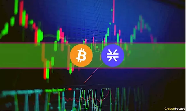 STX Soars Another 23% as Rally Continues, BTC Bounces Off $23K (Market Watch)