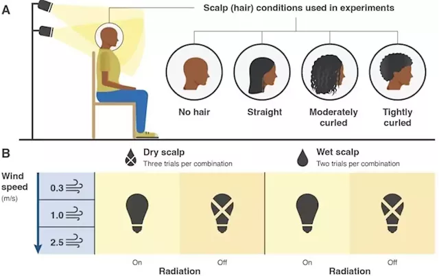 The tightly curled hair common in Africa is great for keeping cool, says new research | Business Insider