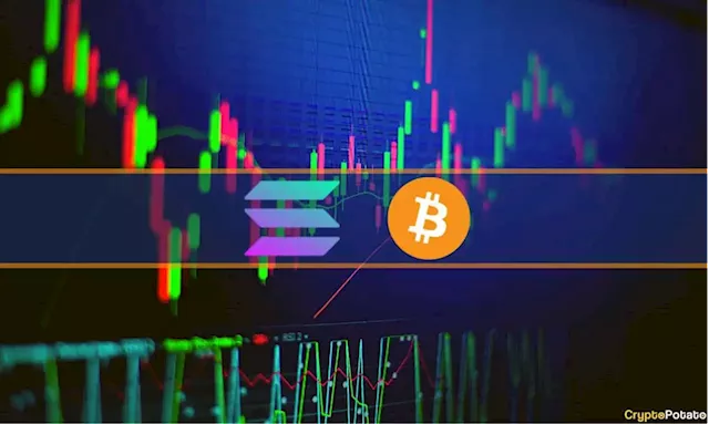 SOL Down 14% Weekly Amid Network Issues, BTC Stopped at $24K: Market Watch