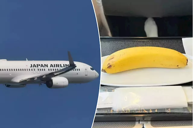 Business class passenger ‘insulted’ by in-flight vegan meal — a banana