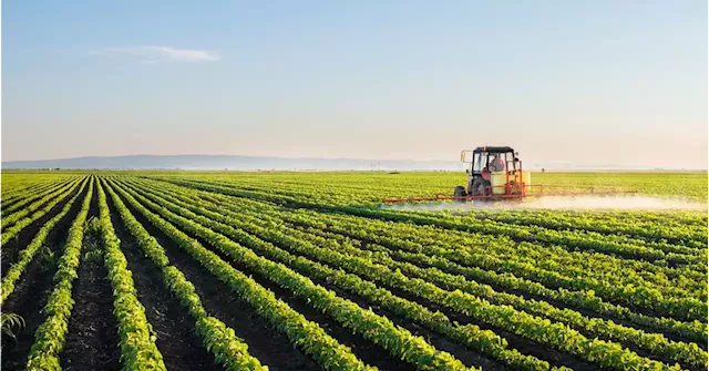 Agri-sector earnings up by 4% in 2022, proving its resilience | The Citizen