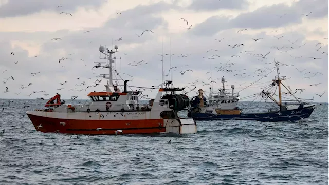 Wildlife groups furious at decision to protect fishing industry by dropping marine park plans