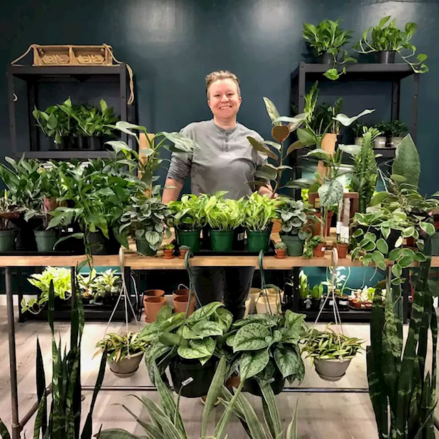 Flourish Plant Market thrives in downtown Kent