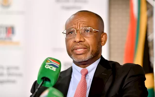 Mminele quits as head of presidential climate finance team | Business