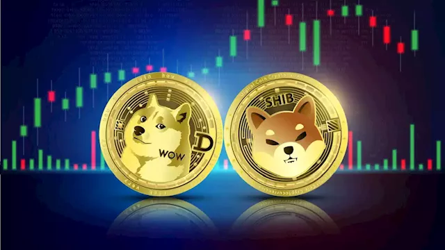 Biggest Movers: SHIB Jumps 13% on Saturday, Hitting a 4-Month High – Market Updates Bitcoin News