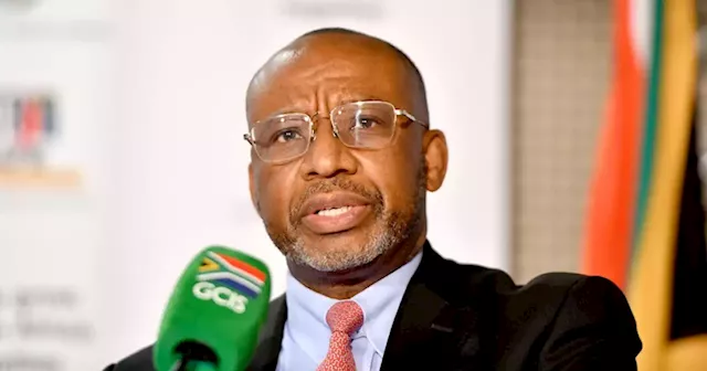 Mminele quits as Energy Transition Finance task head